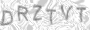 Captcha Security System